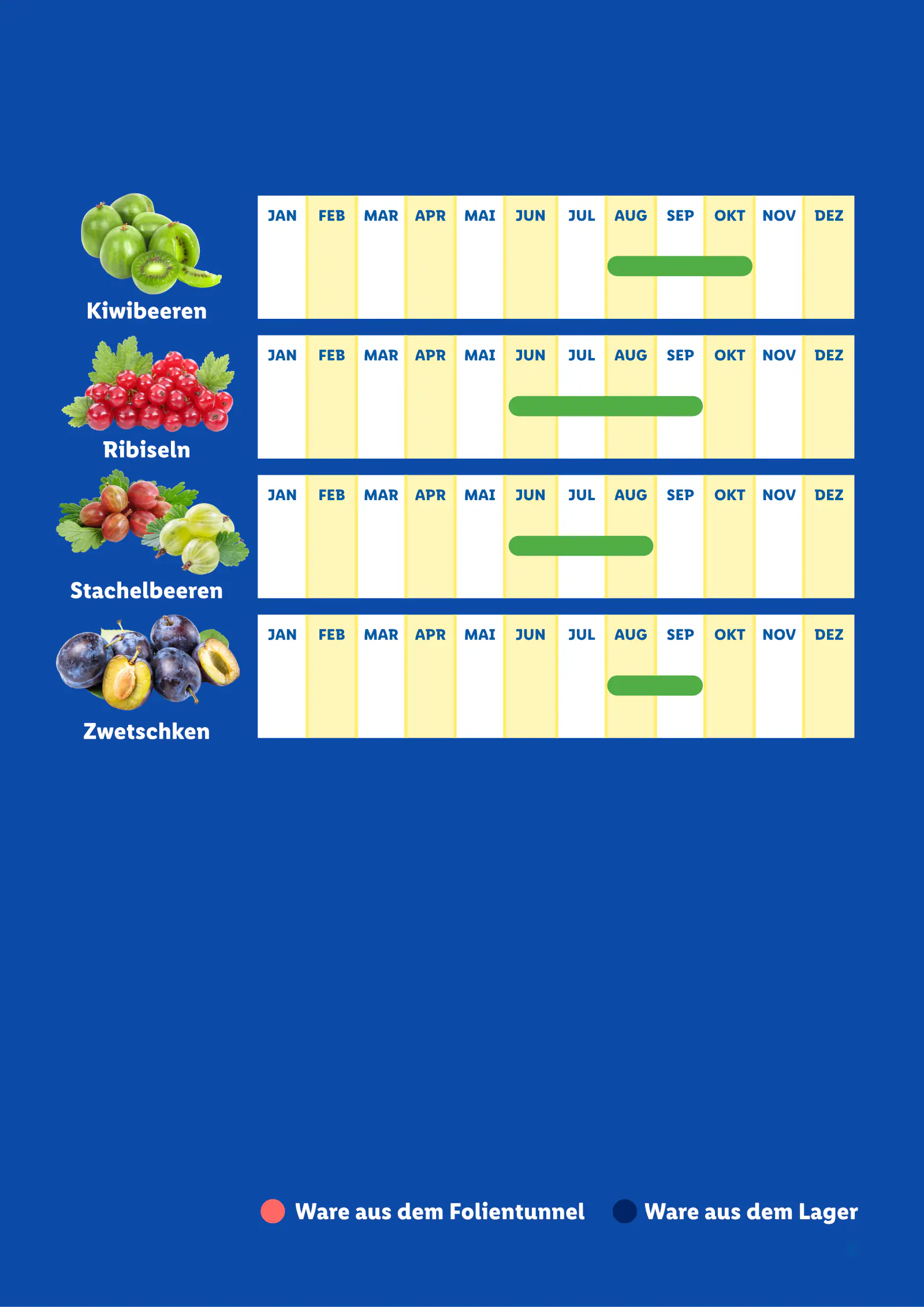Lidl Ausztria Saisonkalender, Obst und Gemüse, 3. oldal (jan. 1. – dec. 31.)