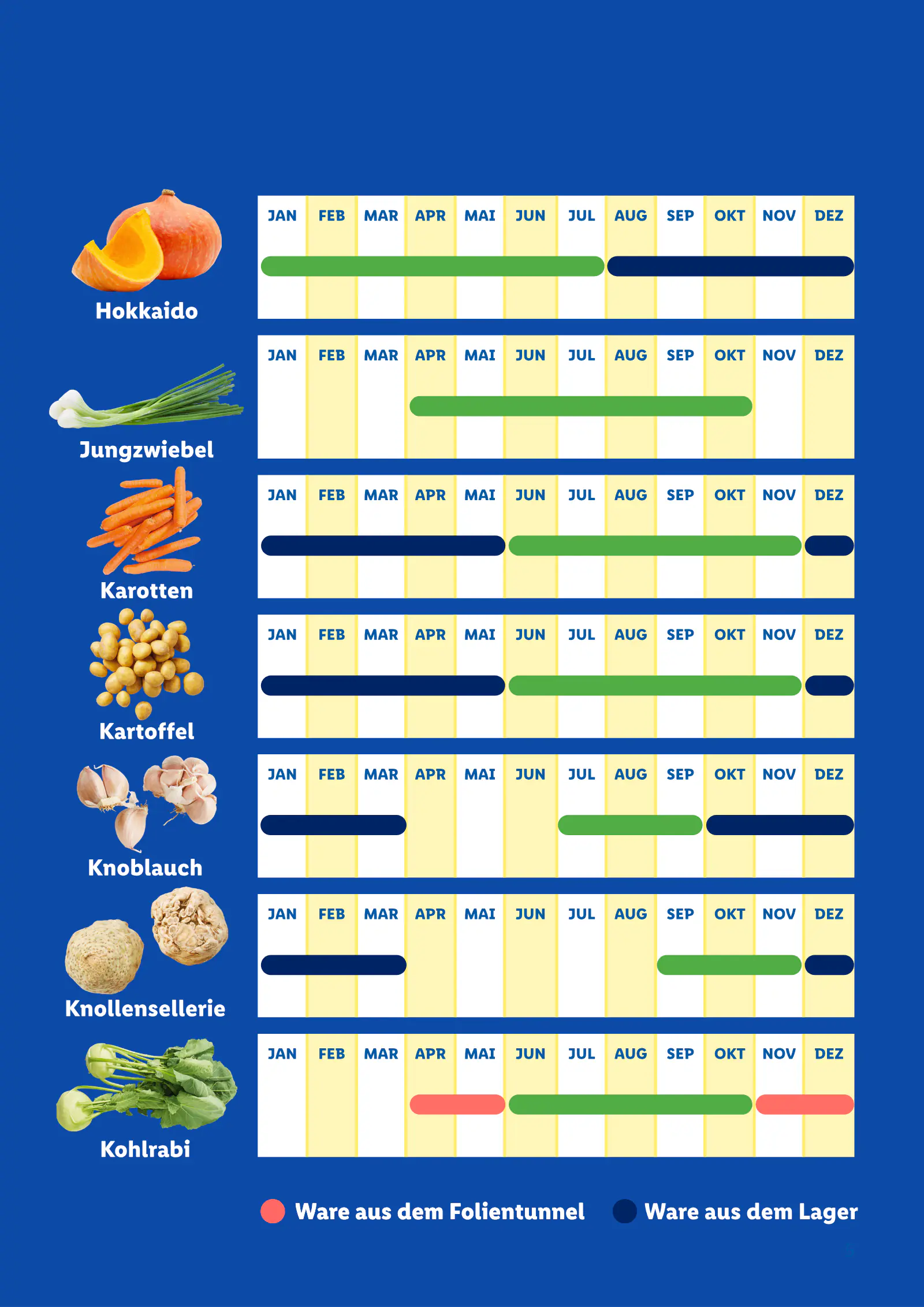 Lidl Ausztria Saisonkalender, Obst und Gemüse, 5. oldal (jan. 1. – dec. 31.)