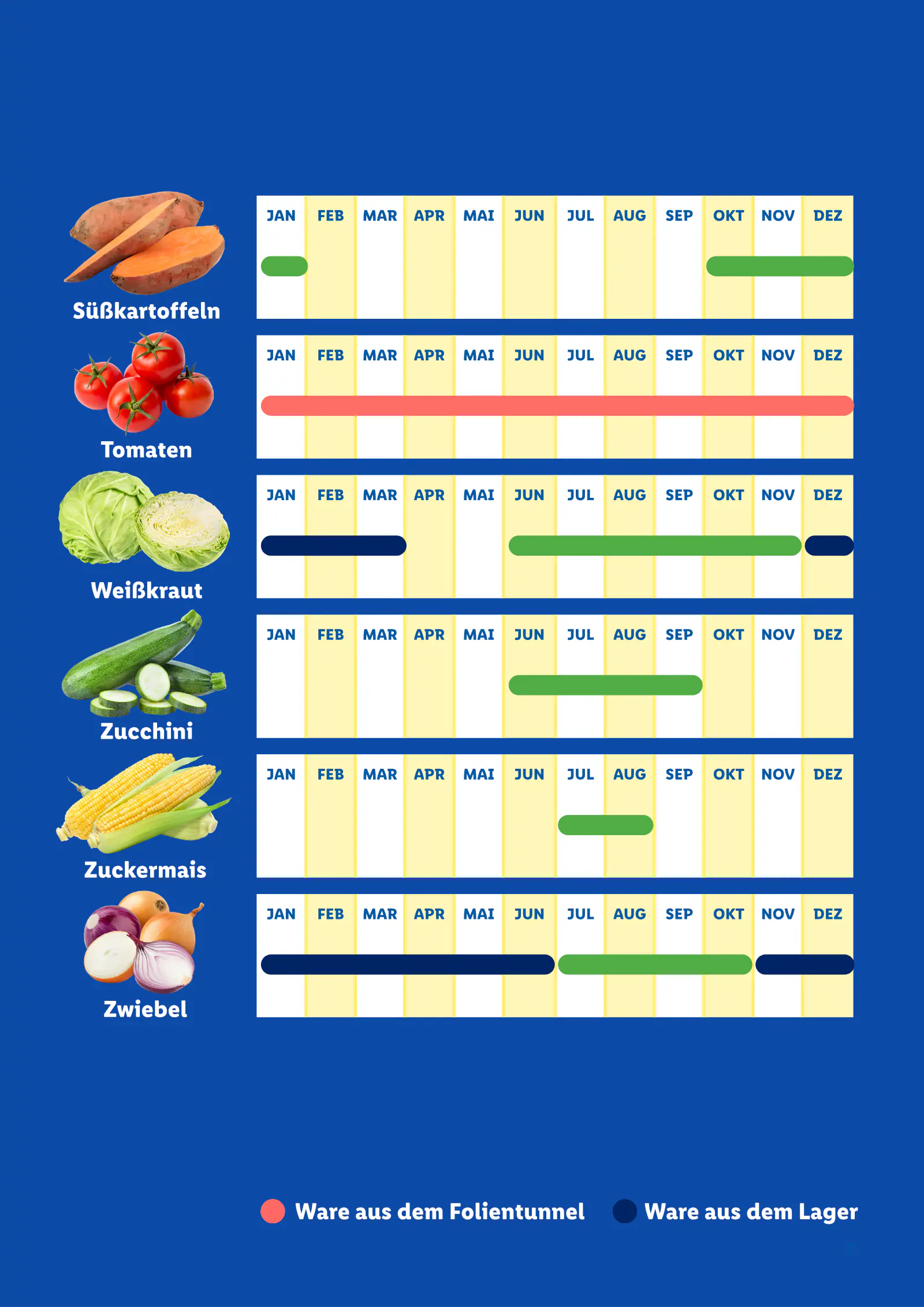 Lidl Ausztria Saisonkalender, Obst und Gemüse, 7. oldal (jan. 1. – dec. 31.)