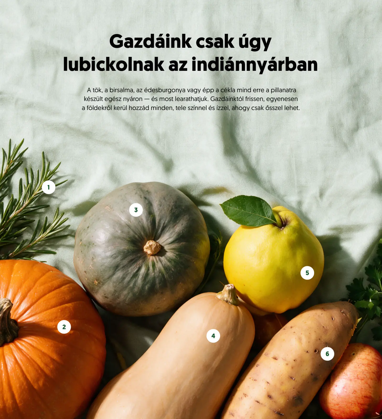 Kifli.hu Őszi katalógus 2026, 6. oldal (szept. 1. – nov. 30.)