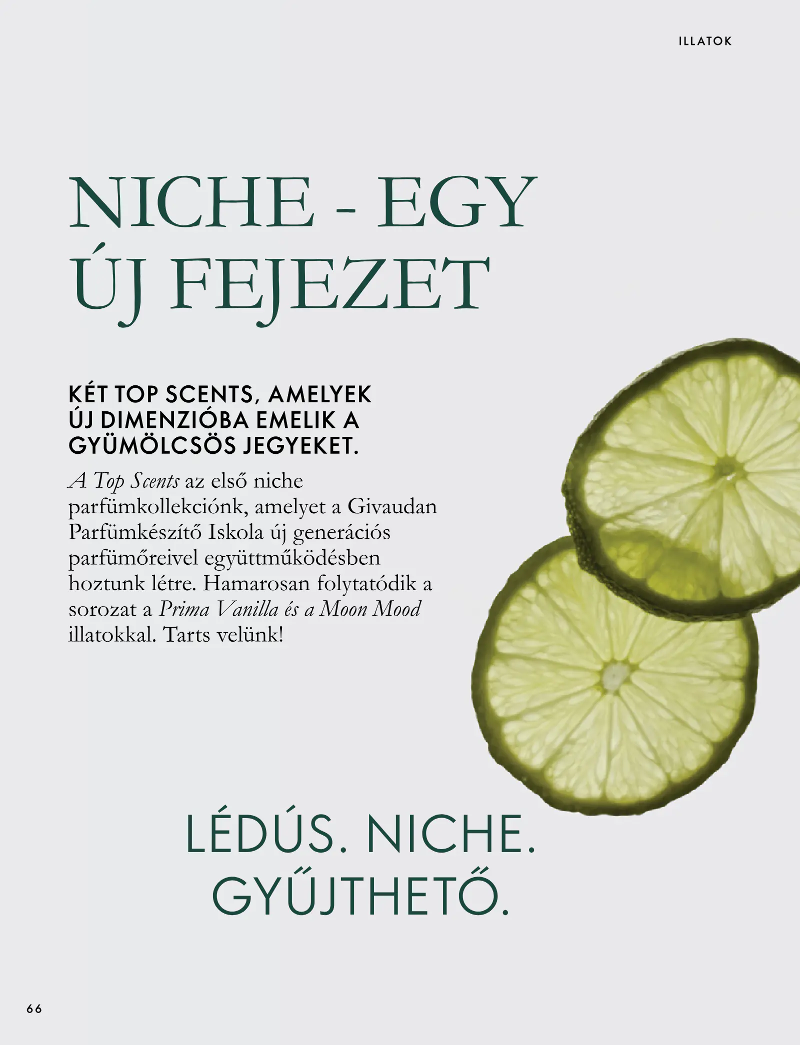 Oriflame akciós újság, 66. oldal (szept. 30. – nov. 10.)