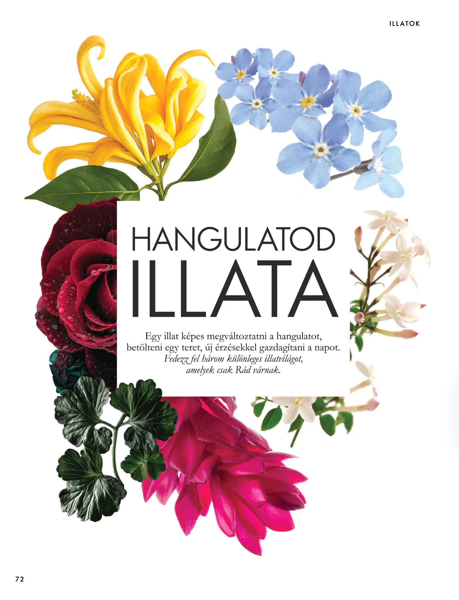 Oriflame akciós újság, 72. oldal (szept. 30. – nov. 10.)