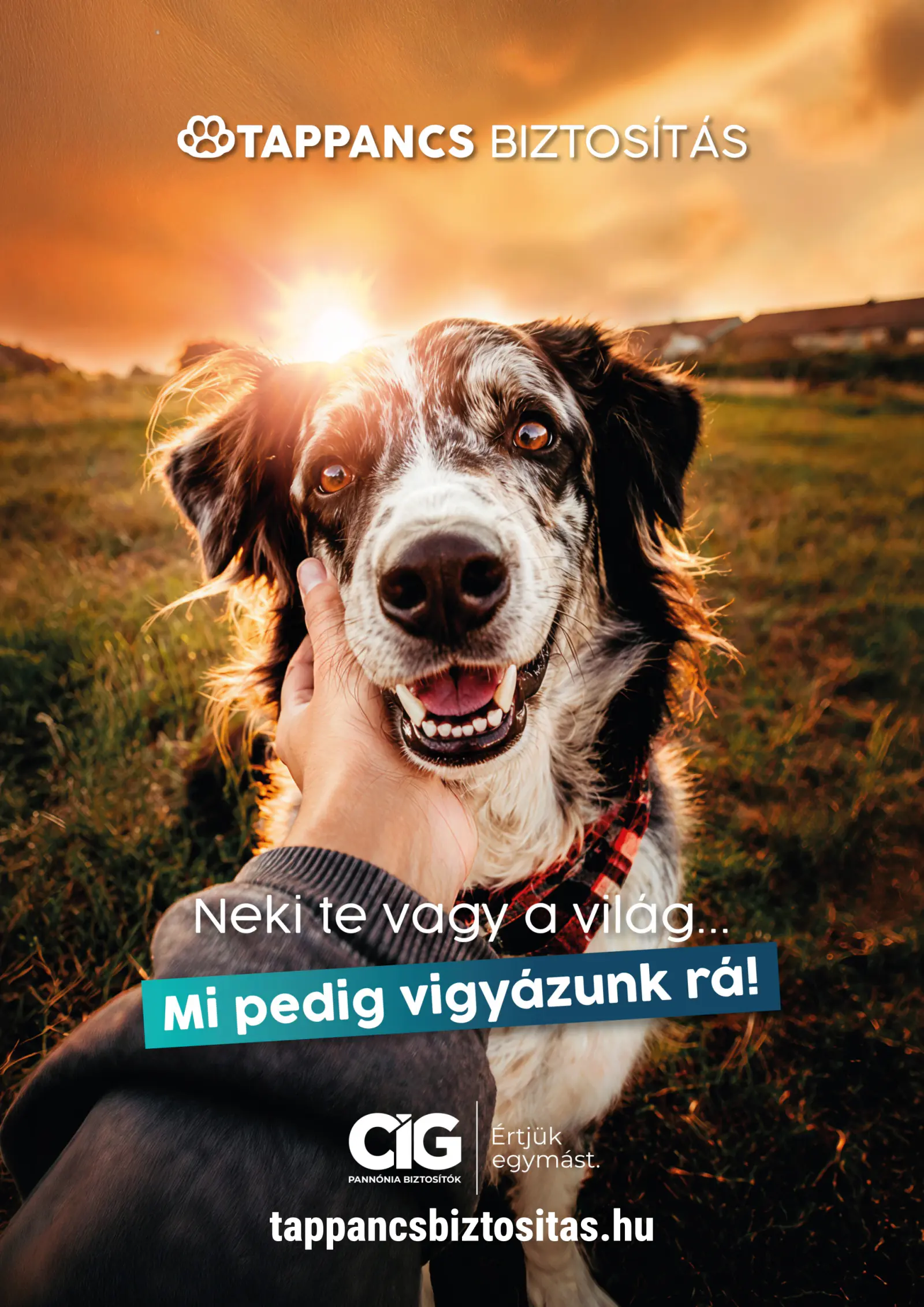 Alphazoo akciós újság, 15. oldal (okt. 1–31.)