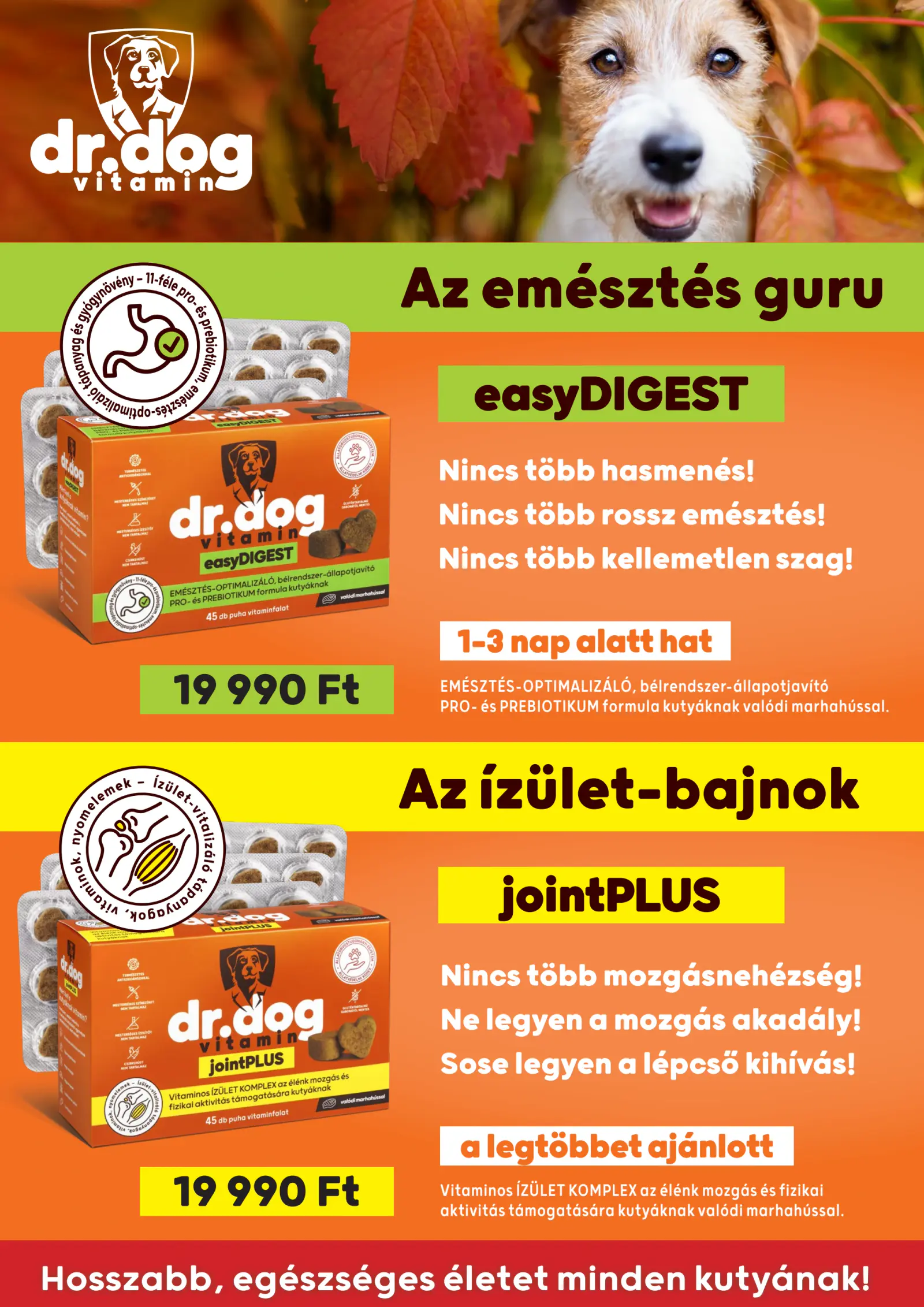 Alphazoo akciós újság, 21. oldal (okt. 1–31.)