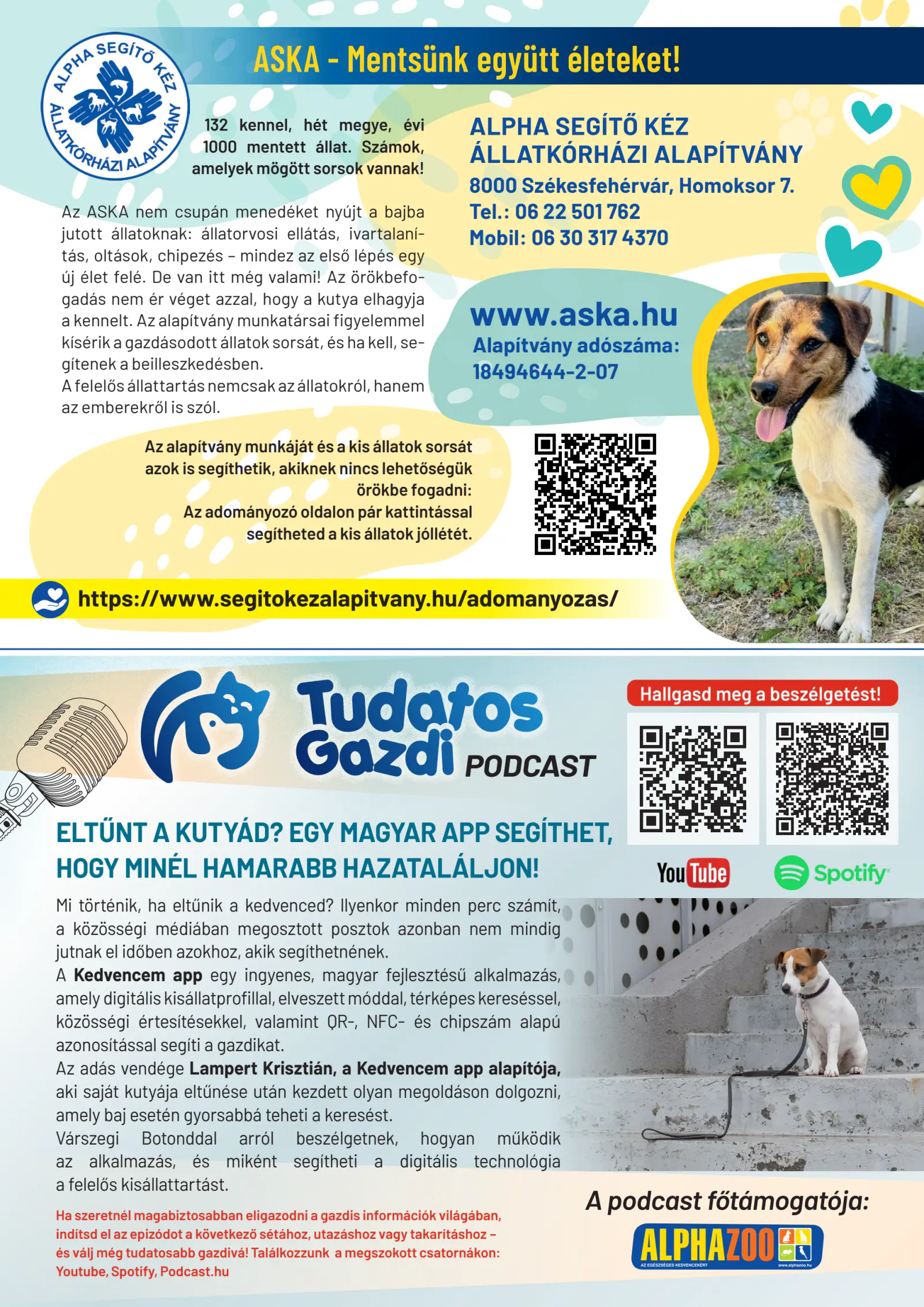 Alphazoo akciós újság, 26. oldal (okt. 1–31.)