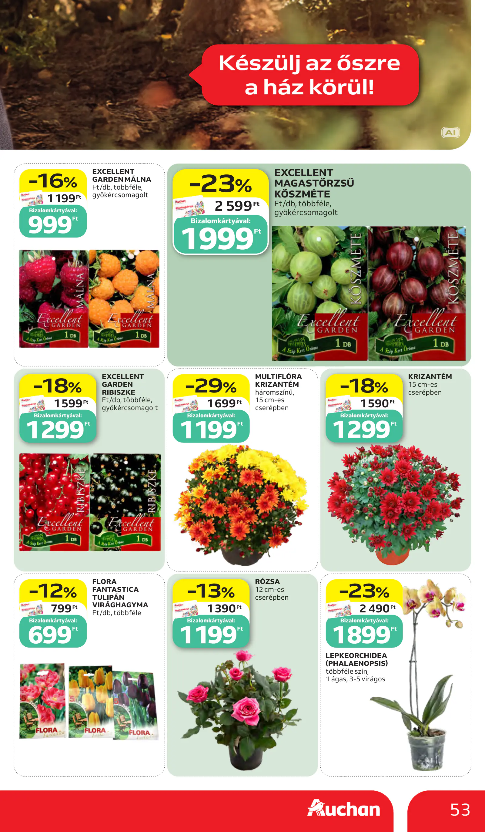 Auchan heti Hipermarket ajánlataink, 53. oldal (okt. 15–21.)