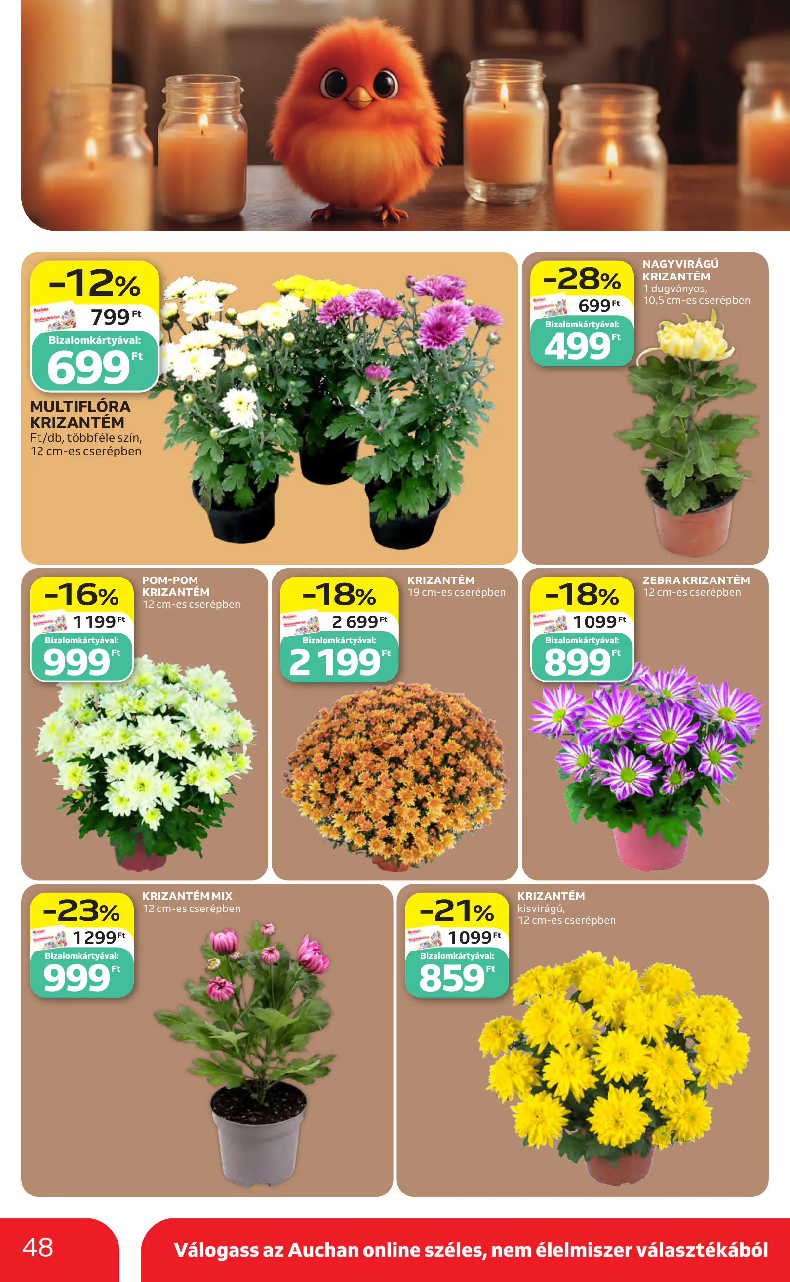 Auchan heti Hipermarket ajánlataink, 48. oldal (okt. 22–28.)