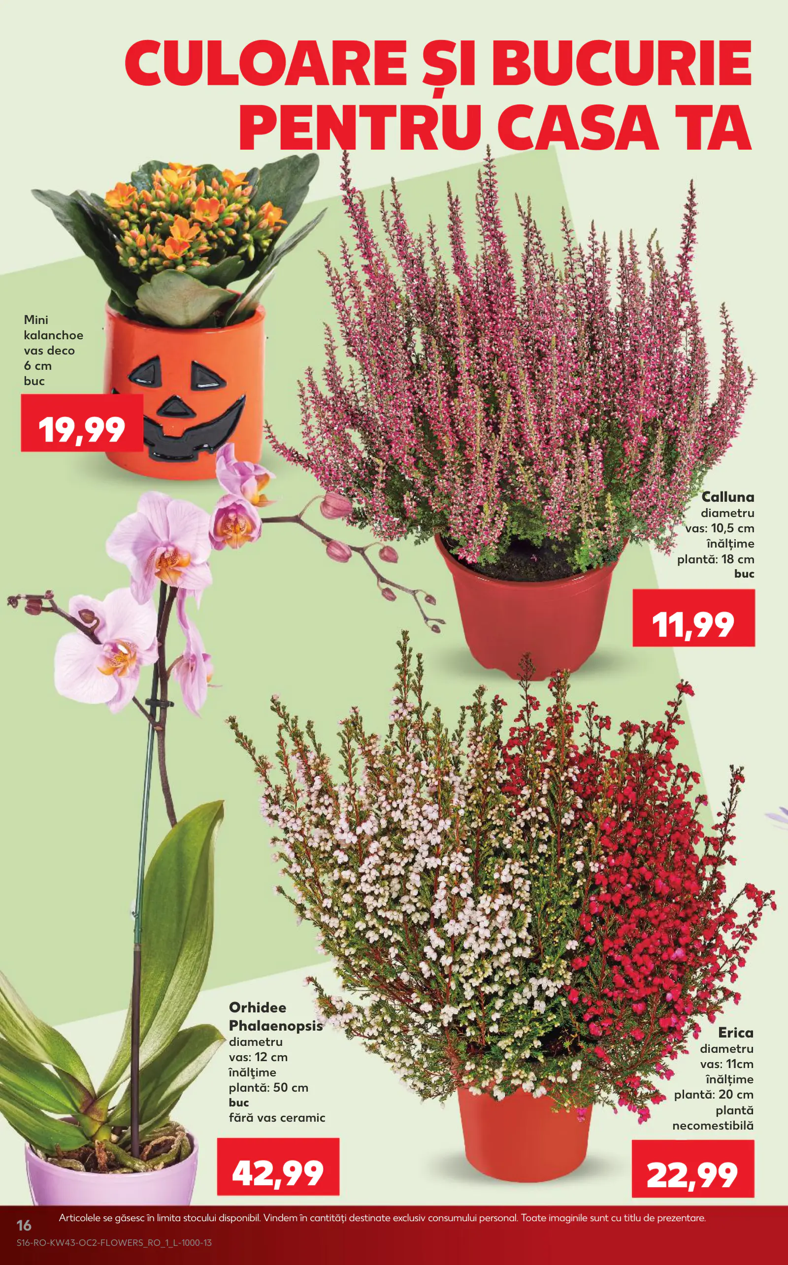Kaufland Románia akciós újság, 16. oldal (okt. 21–27.)
