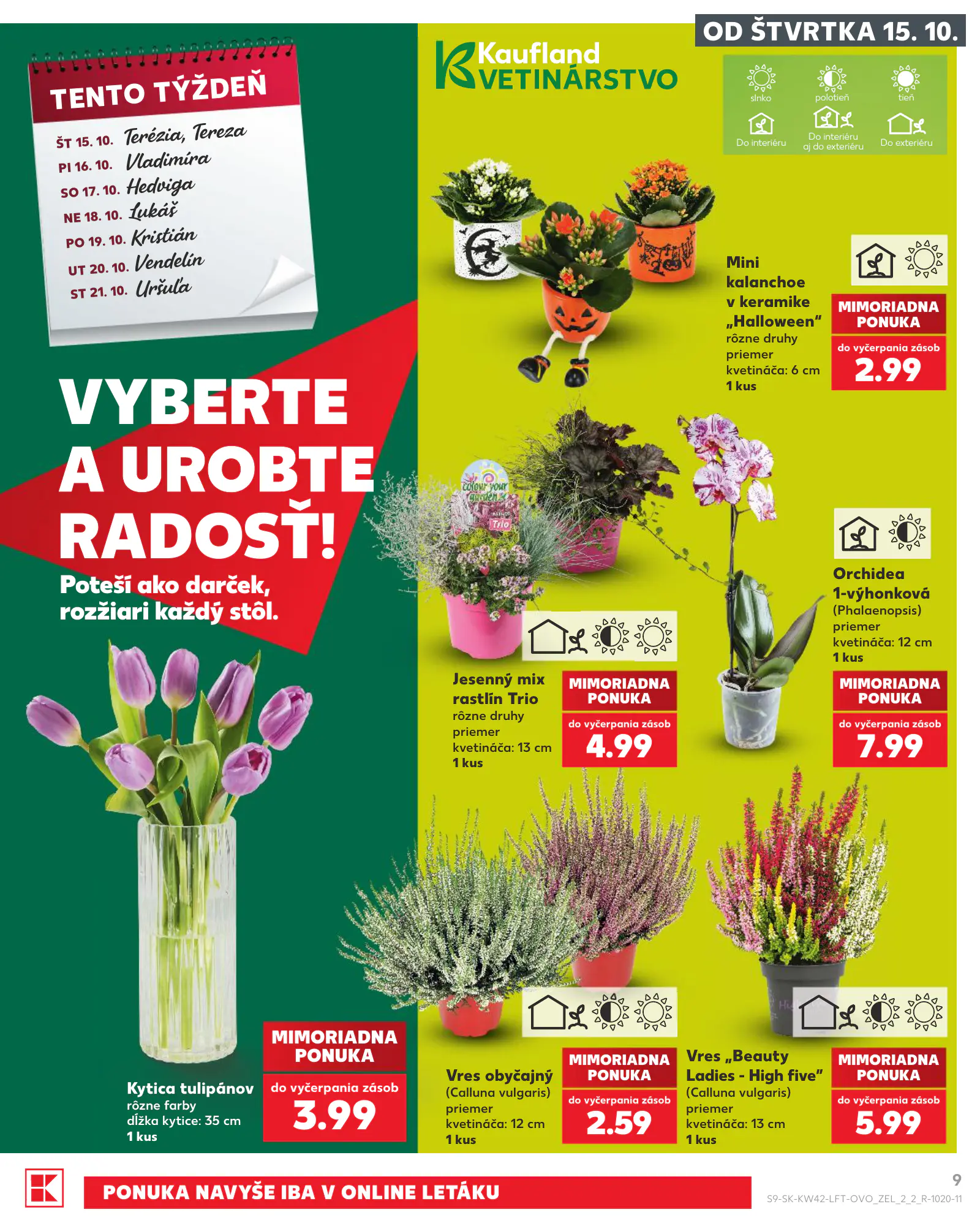 Kaufland Szlovákia KDZ, 9. oldal (okt. 15–21.)