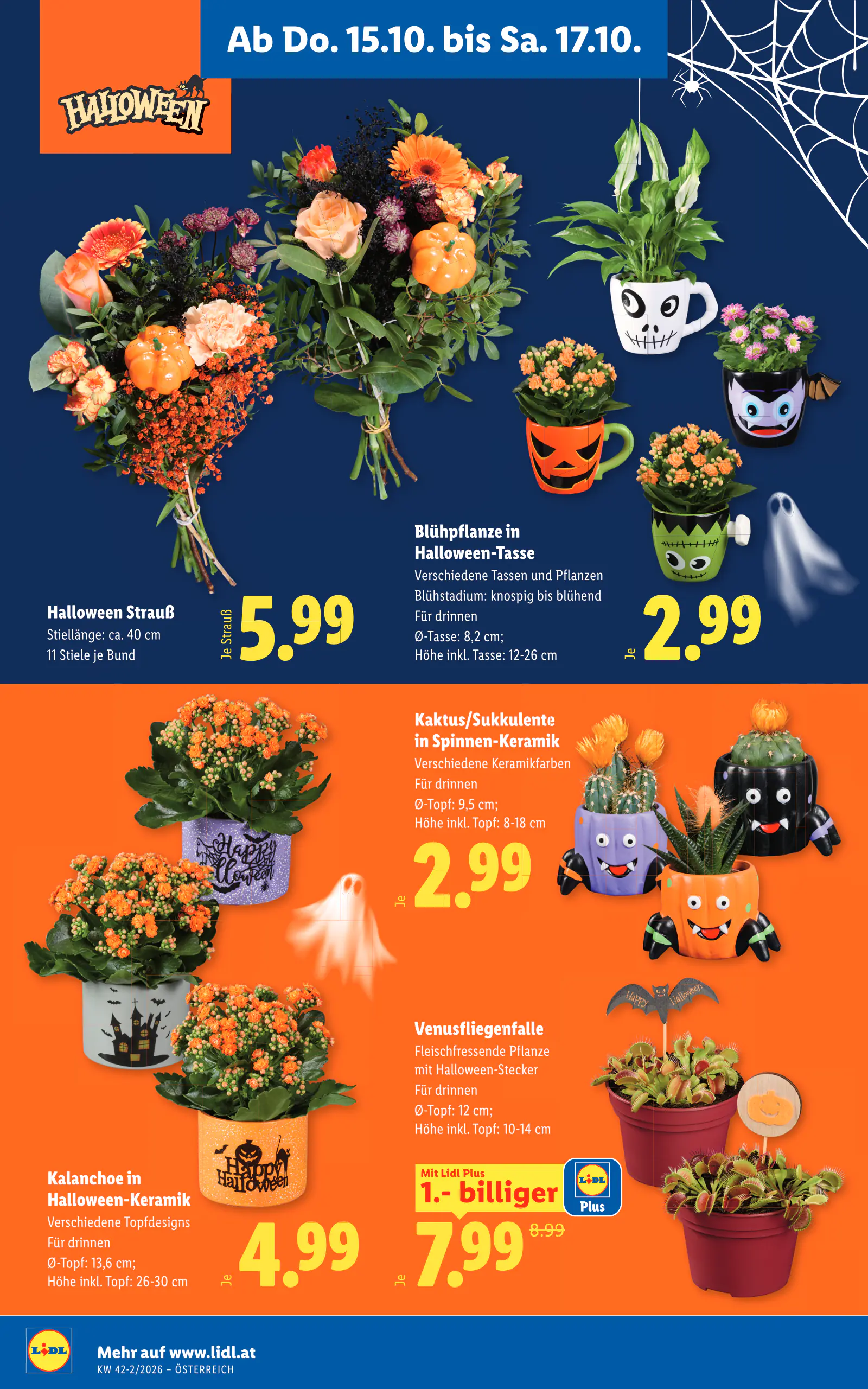 Lidl Ausztria Flugblatt, 24. oldal (okt. 15–21.)