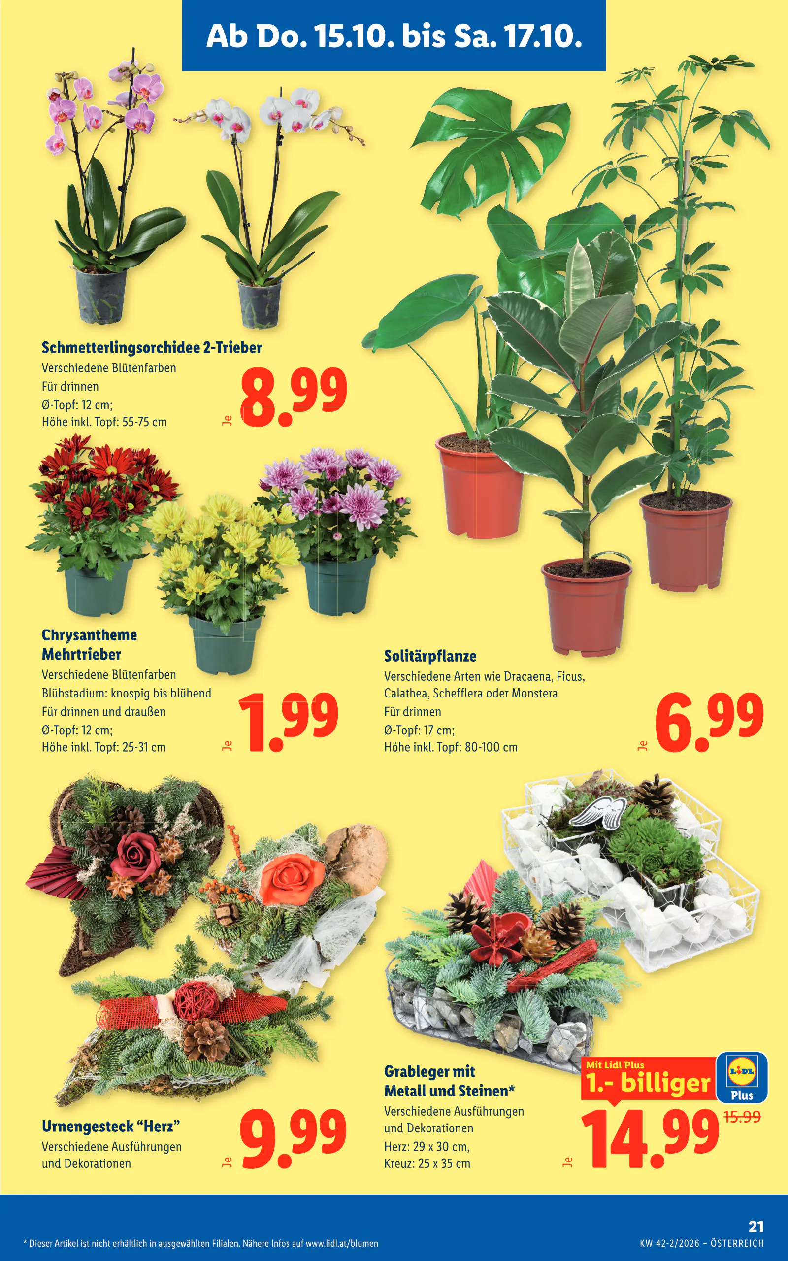Lidl Ausztria Flugblatt, 25. oldal (okt. 15–21.)