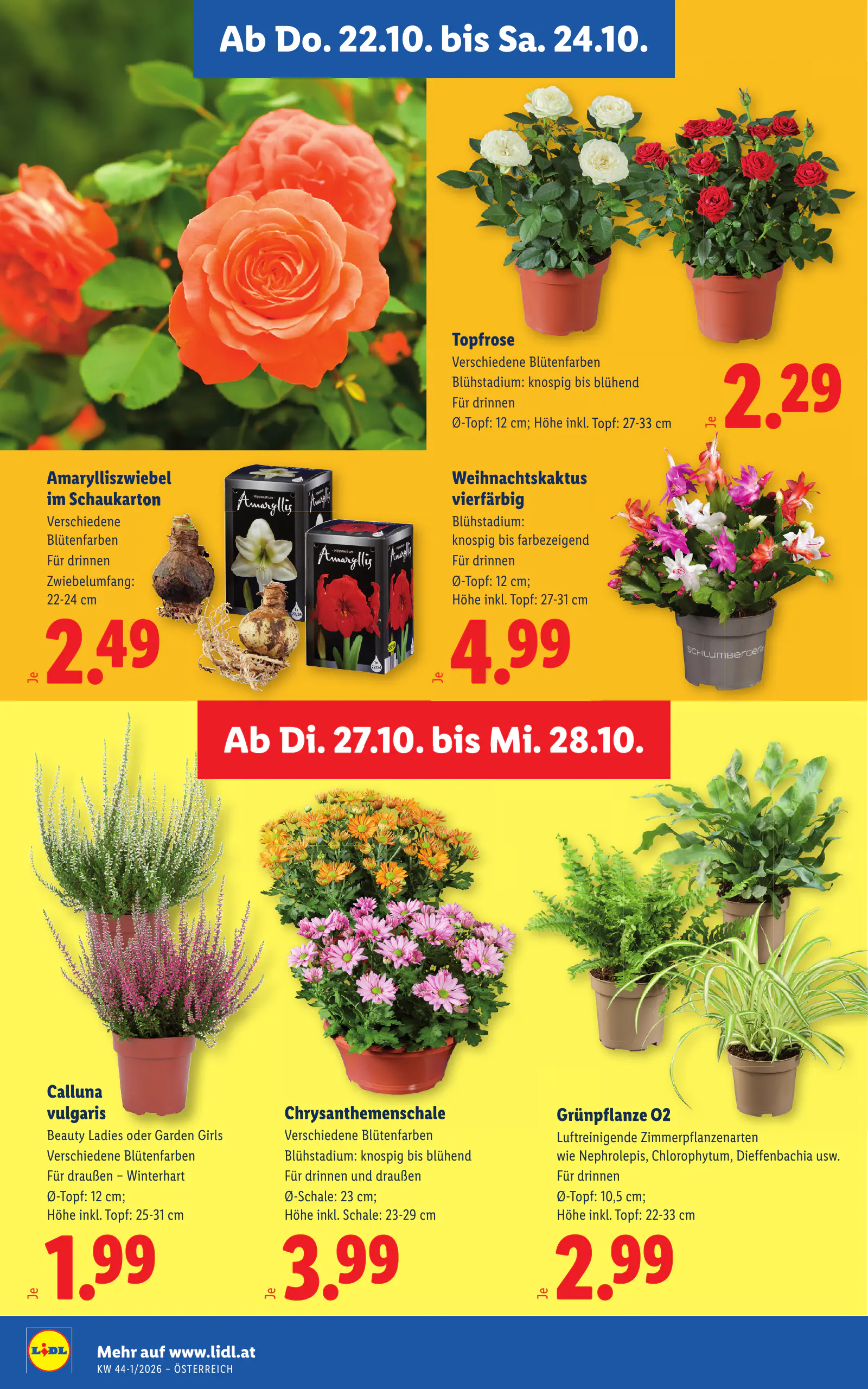 Lidl Ausztria Flugblatt, 32. oldal (okt. 22–28.)