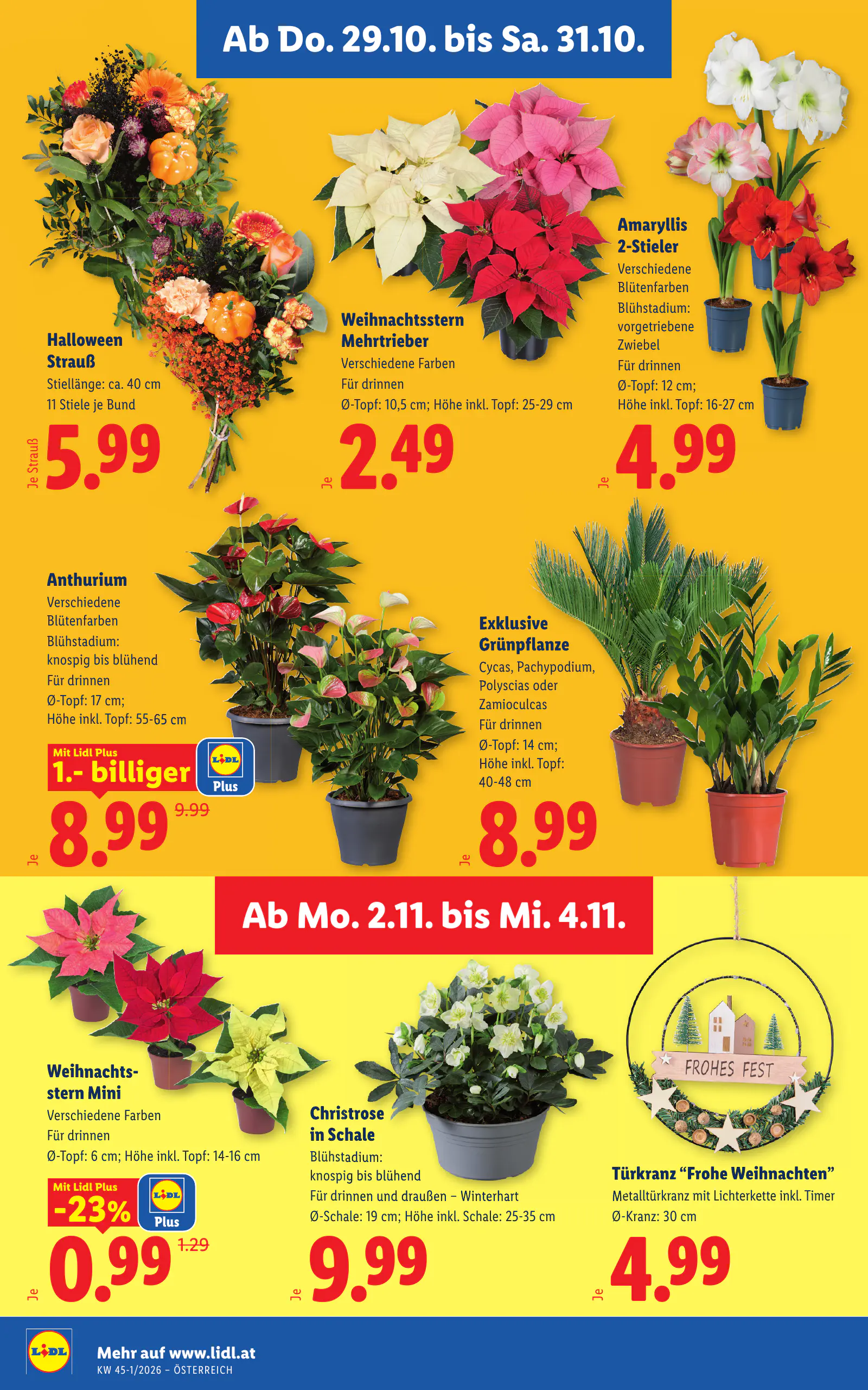 Lidl Ausztria Flugblatt, 28. oldal (okt. 29. – nov. 4.)