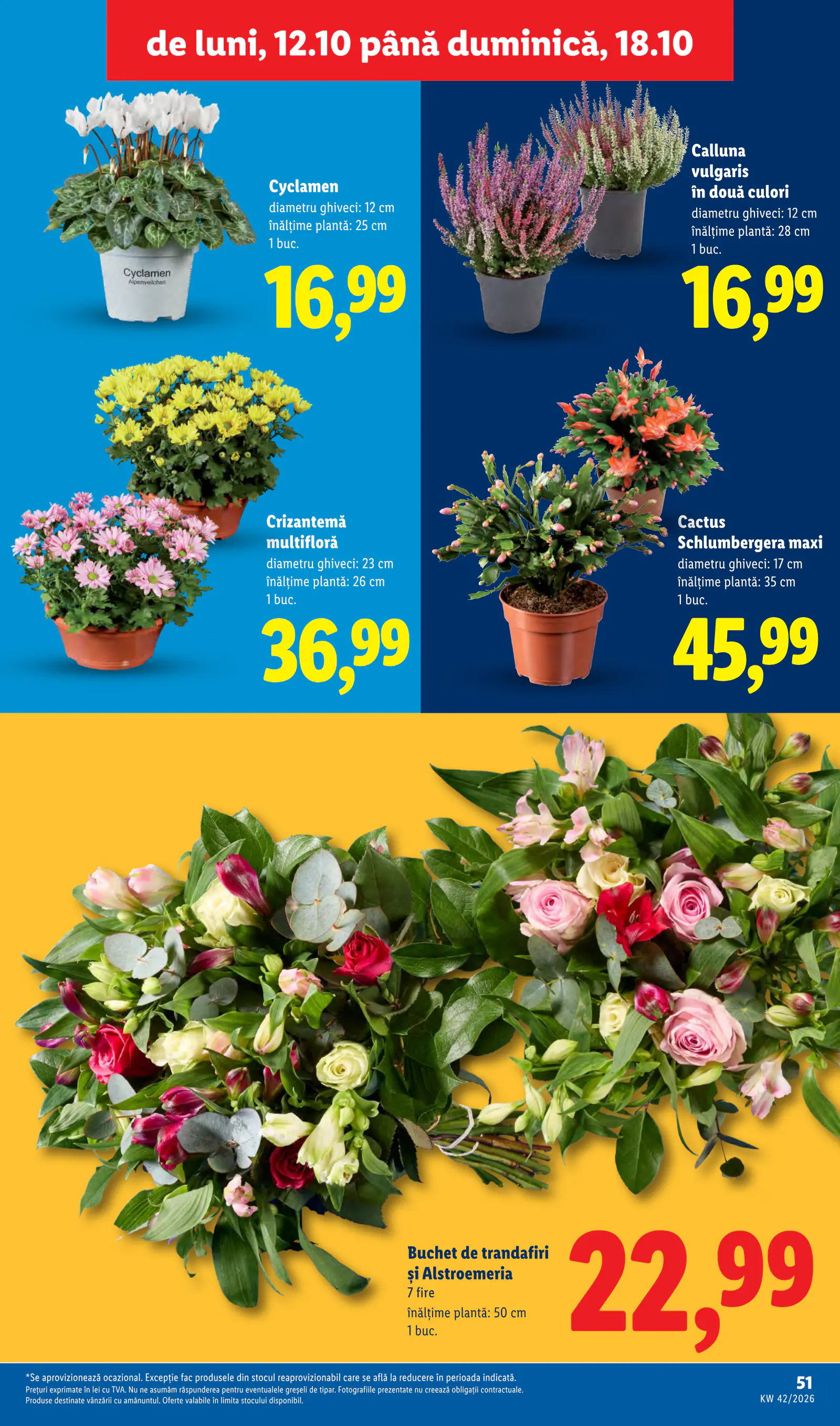 Lidl Románia Catalogul săptămânal, 51. oldal (okt. 12–18.)