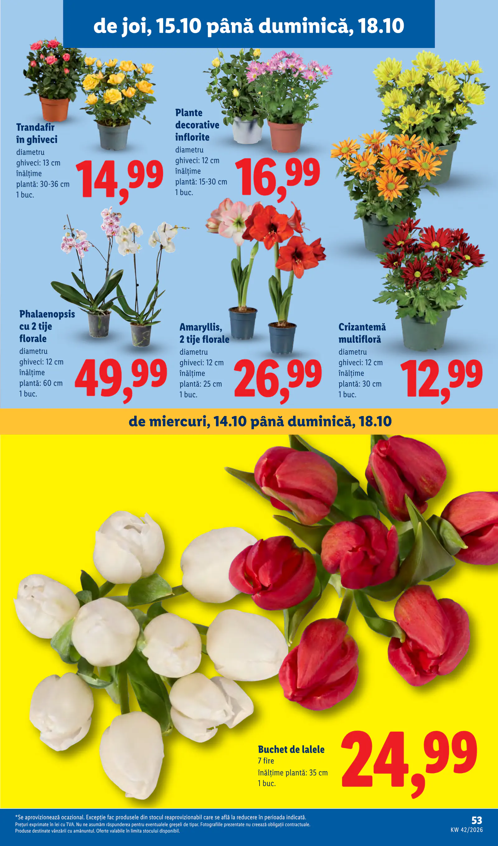Lidl Románia Catalogul săptămânal, 53. oldal (okt. 12–18.)
