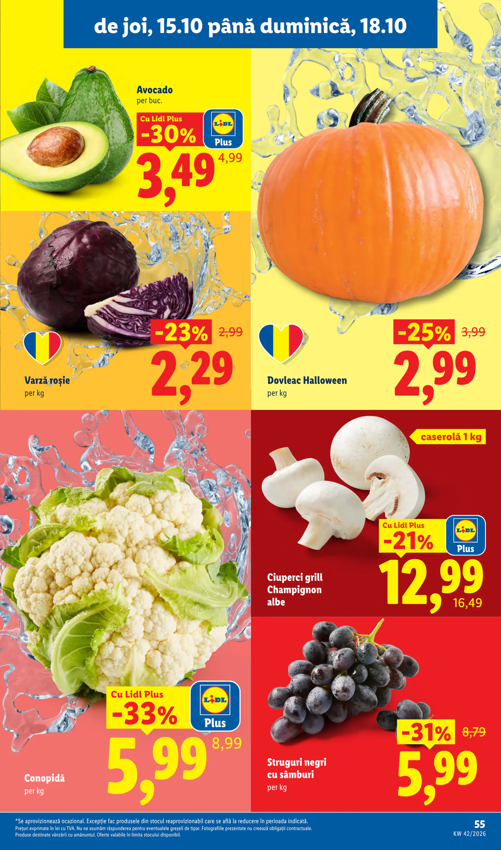 Lidl Románia Catalogul săptămânal, 55. oldal (okt. 12–18.)