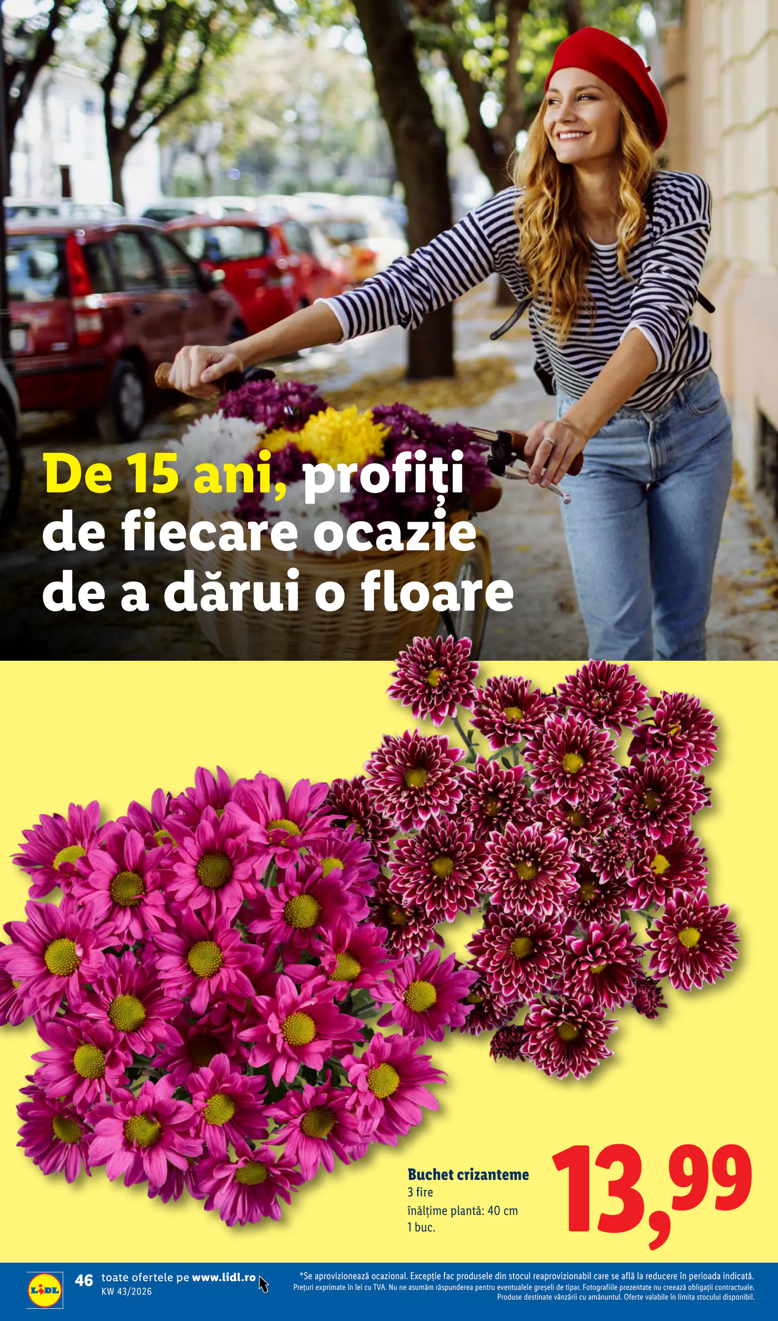 Lidl Románia Catalogul săptămânal, 46. oldal (okt. 19–25.)