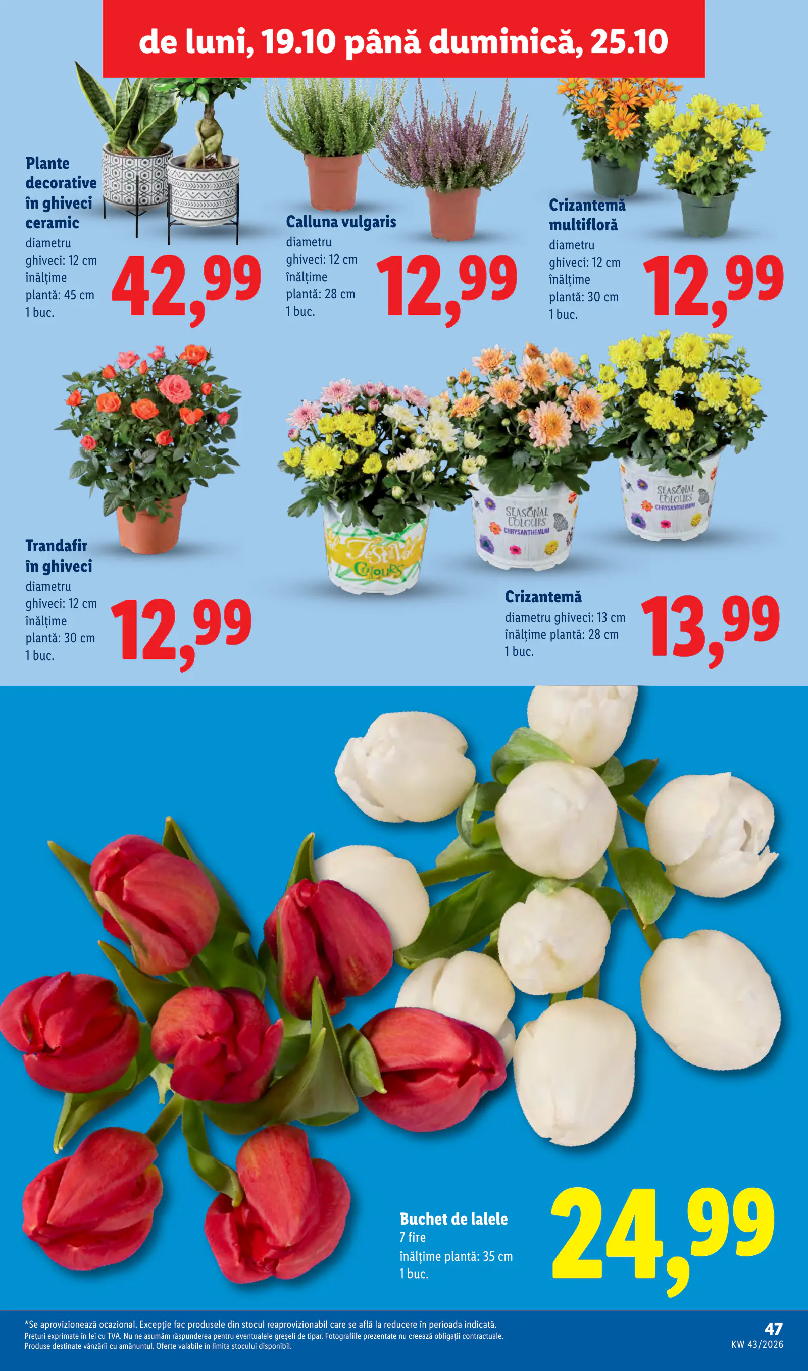 Lidl Románia Catalogul săptămânal, 47. oldal (okt. 19–25.)