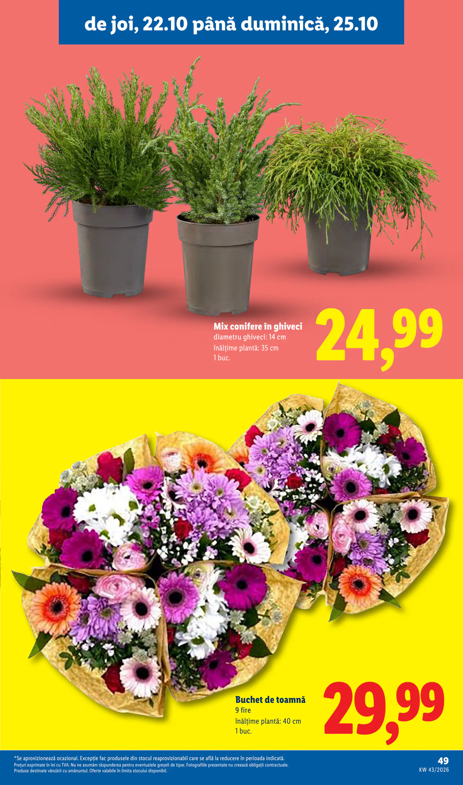 Lidl Románia Catalogul săptămânal, 49. oldal (okt. 19–25.)