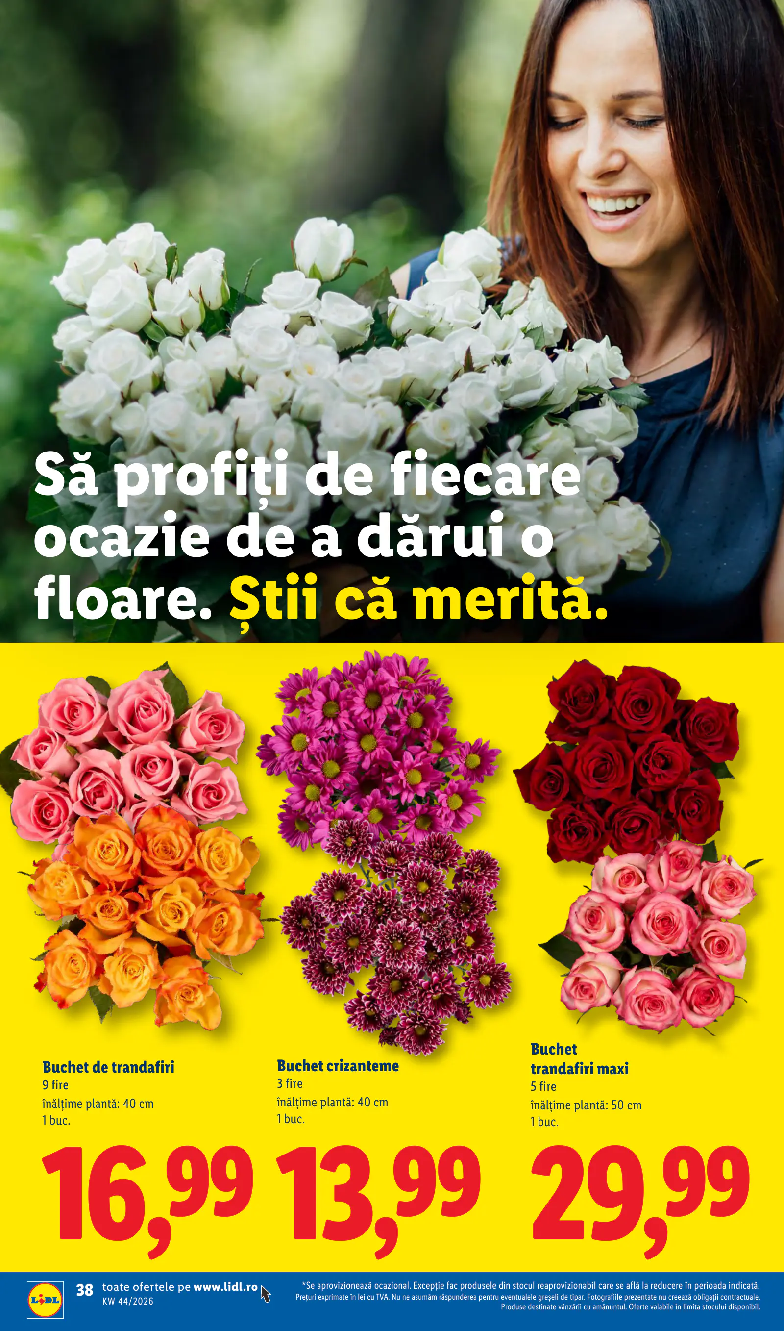Lidl Románia Catalogul săptămânal, 38. oldal (okt. 26. – nov. 1.)