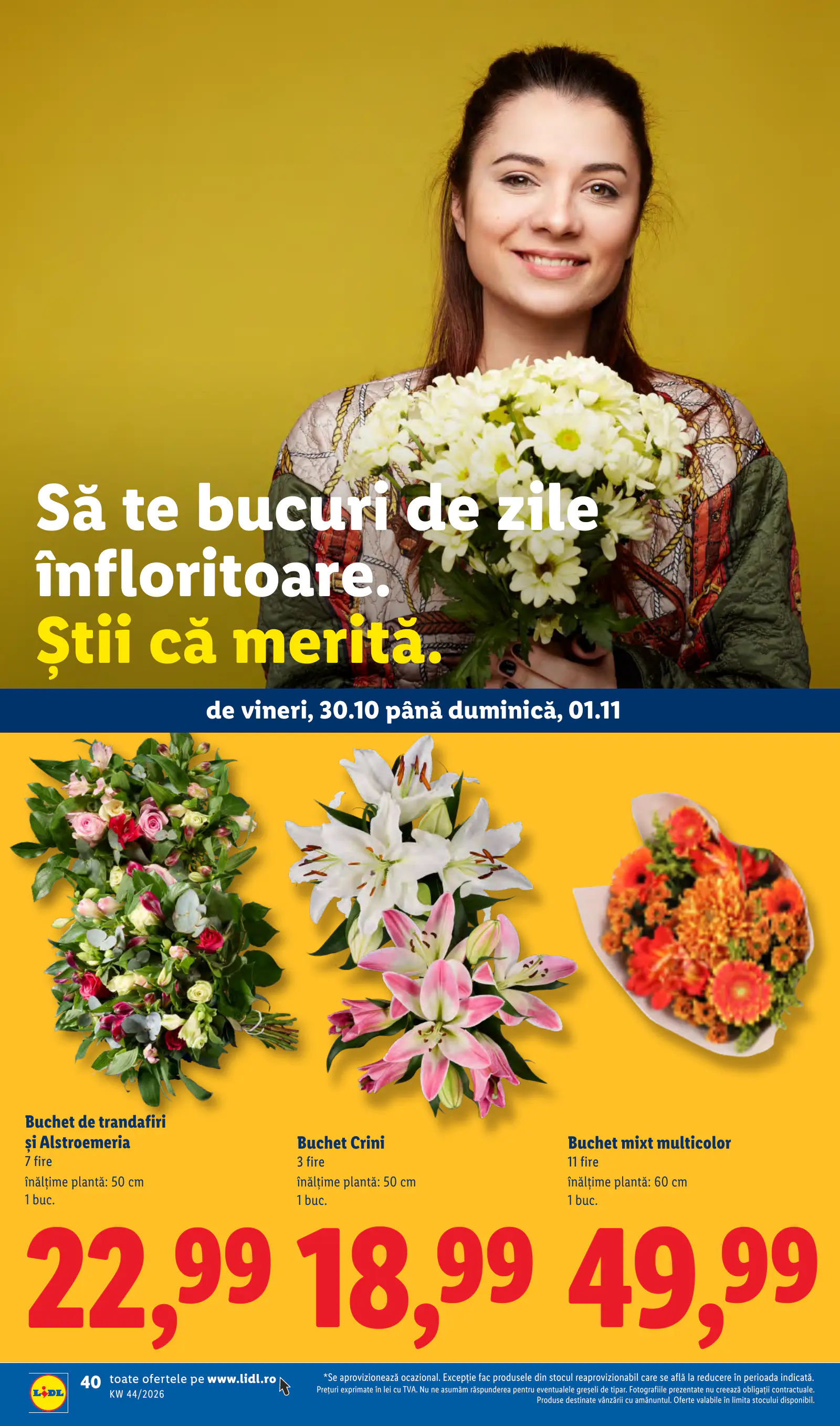 Lidl Románia Catalogul săptămânal, 40. oldal (okt. 26. – nov. 1.)