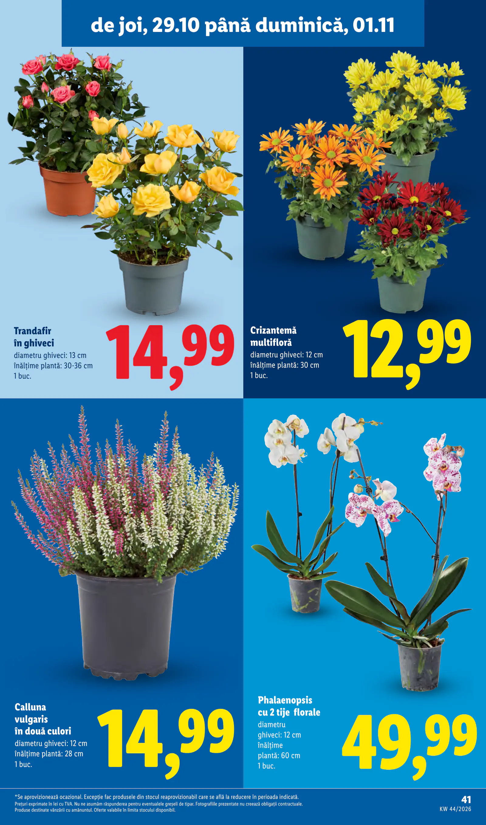 Lidl Románia Catalogul săptămânal, 41. oldal (okt. 26. – nov. 1.)