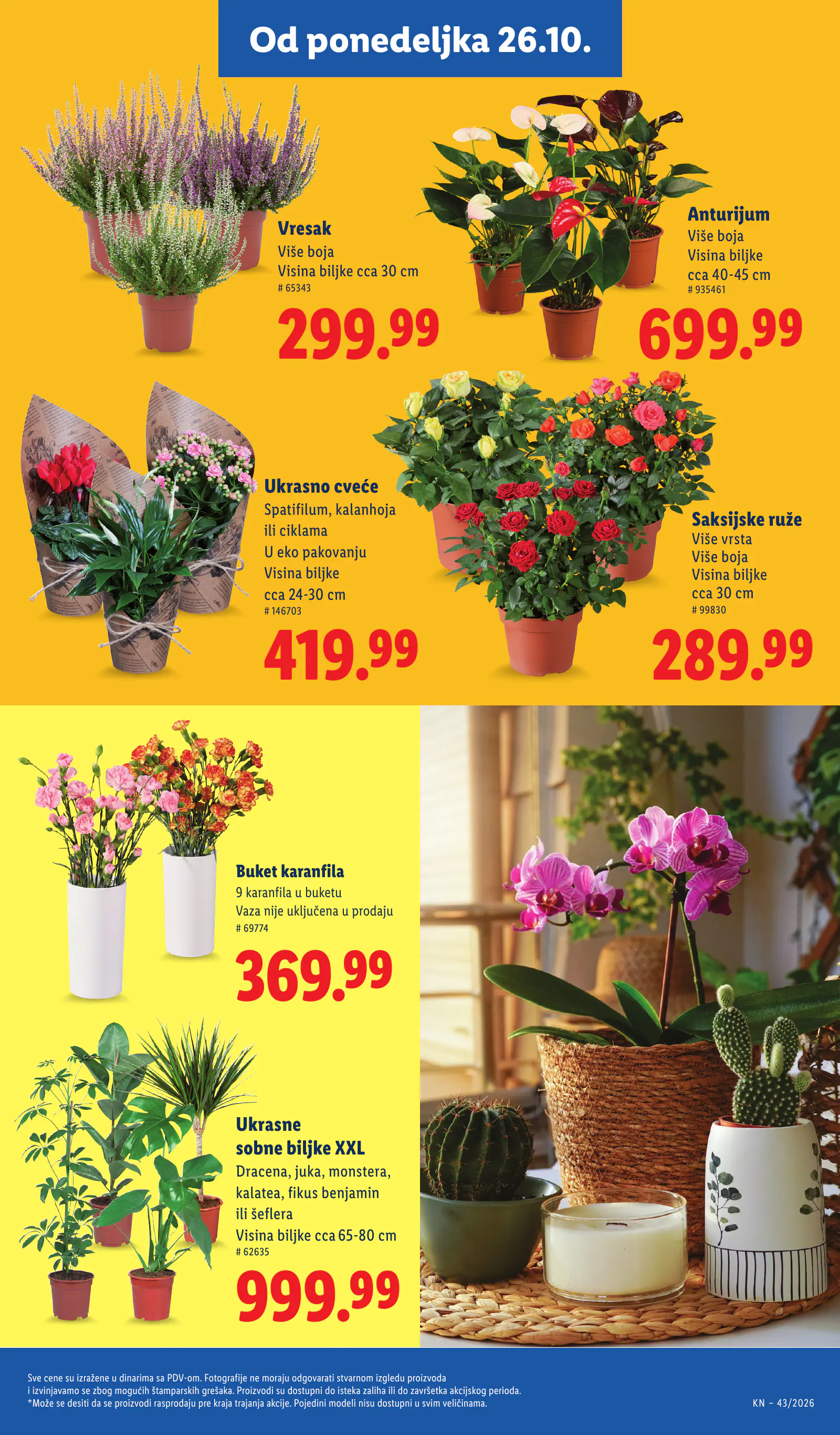 Lidl Szerbia Pogledajte naše ponude, 71. oldal (okt. 22–28.)