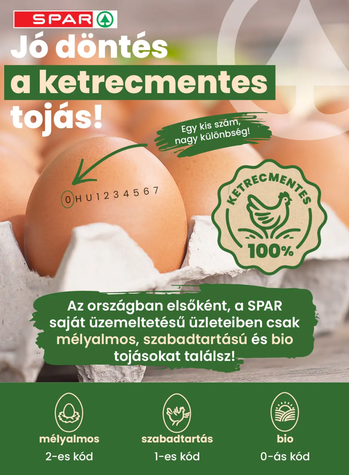 Spar szórólap, 8. oldal (okt. 22–28.)