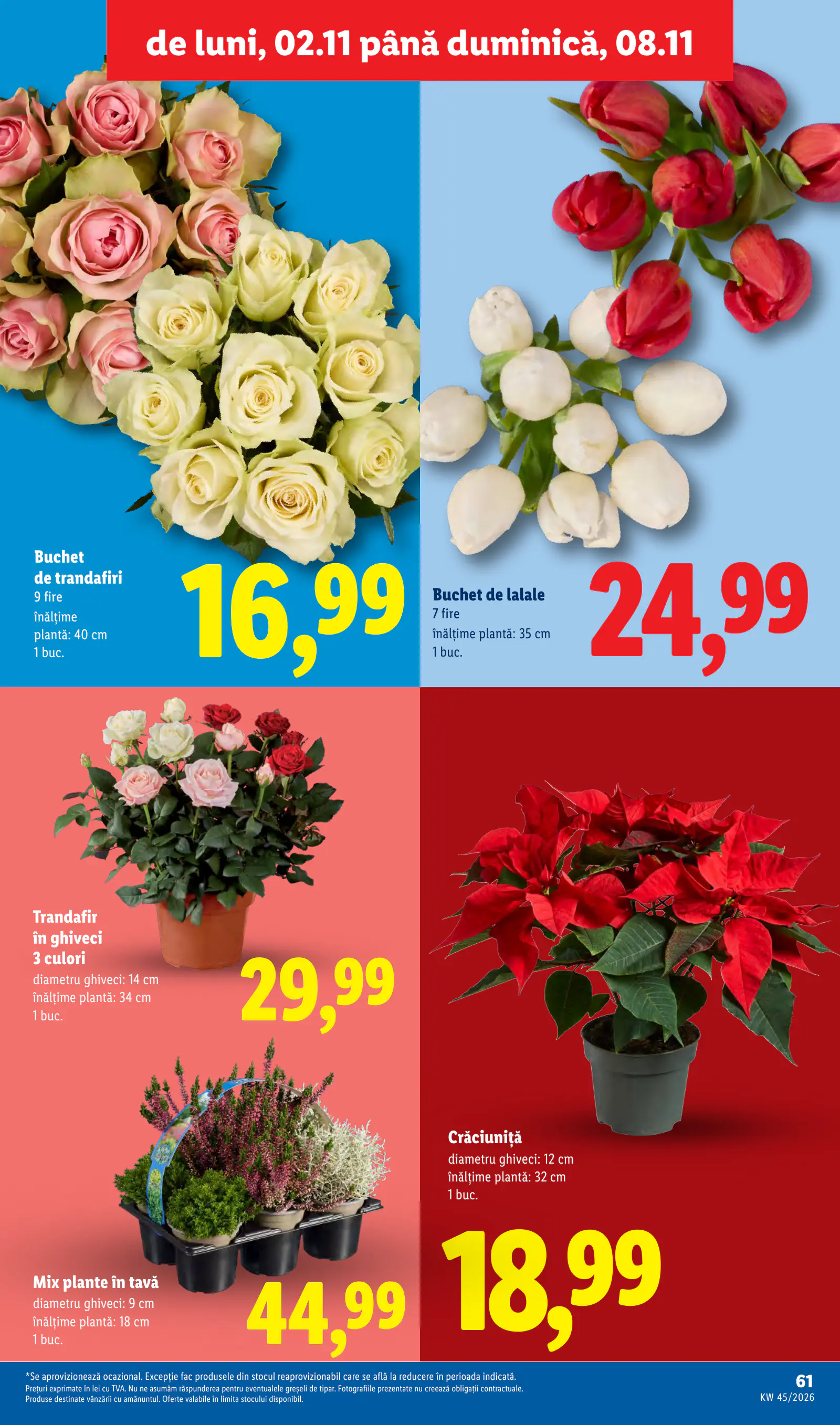 Lidl Románia Catalogul săptămânal, 61. oldal (nov. 2–8.)