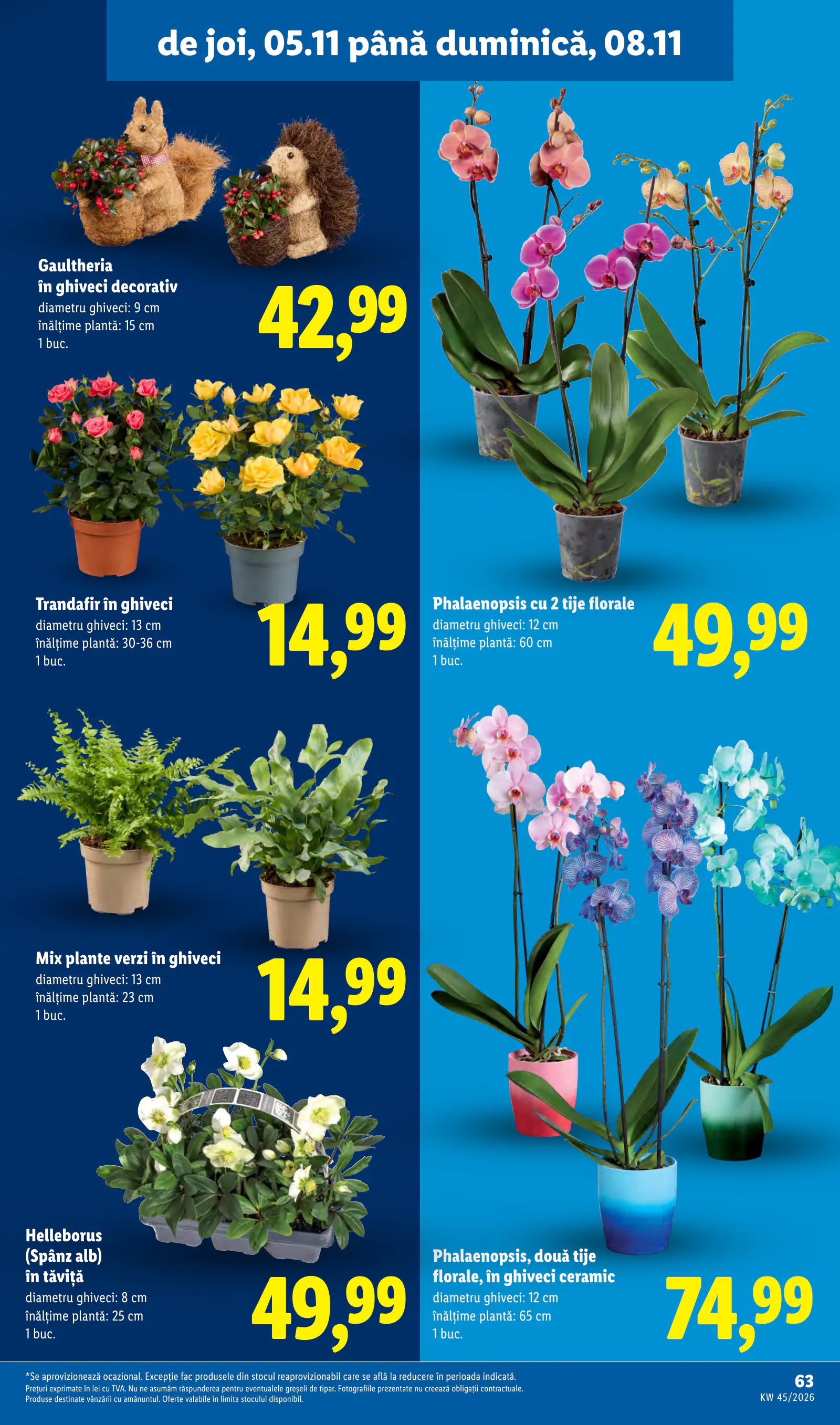 Lidl Románia Catalogul săptămânal, 63. oldal (nov. 2–8.)